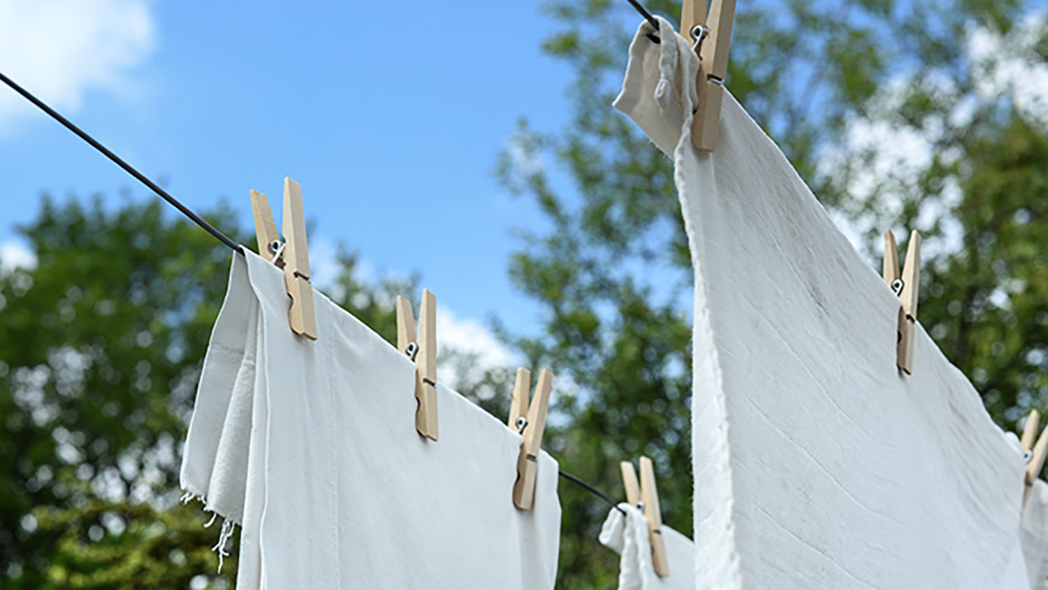 Clothes hanging on line