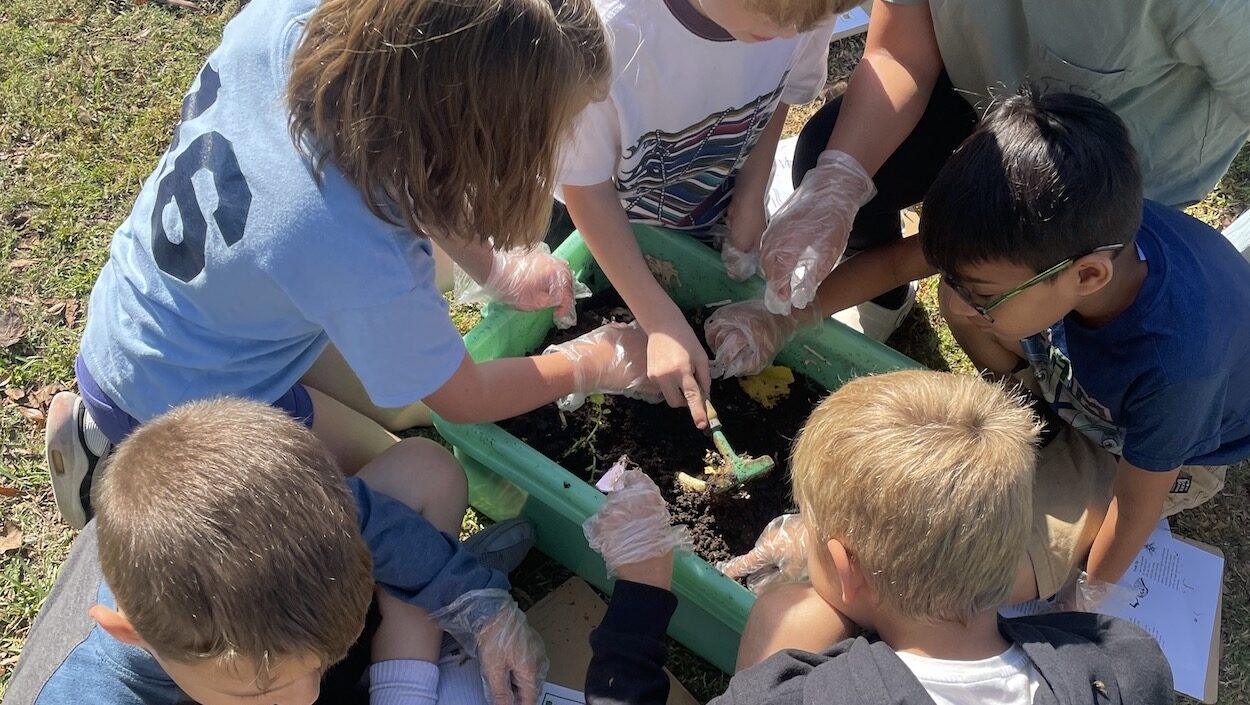 students with plants