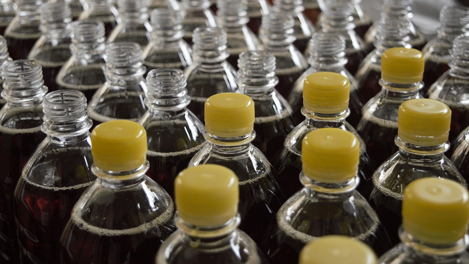 Rows of plastic bottles